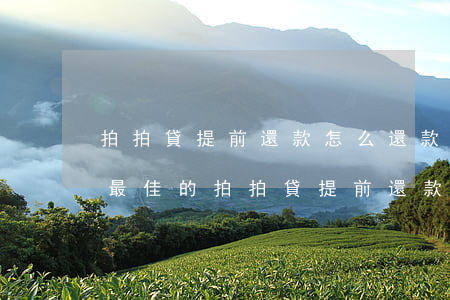 拍拍貸提前還款怎么還款方式最好，如何選擇最佳的拍拍貸提前還款方式？